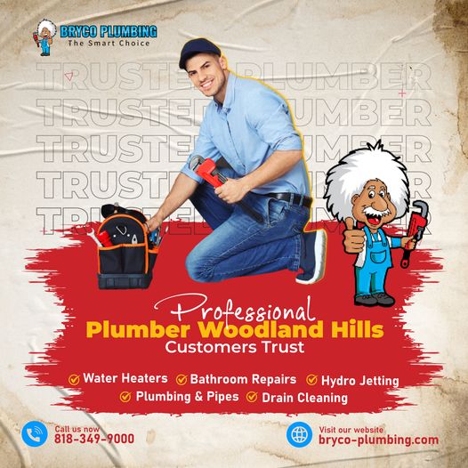 Choosing the Right Plumber for Your Needs